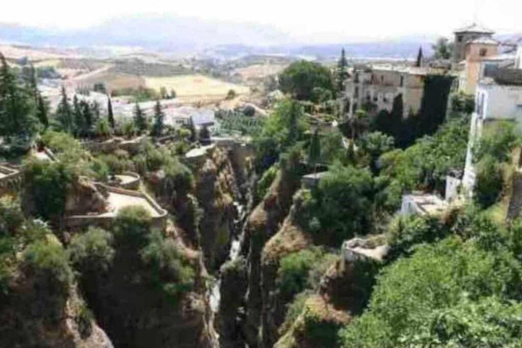 Vii Morales & Arnal Appartement